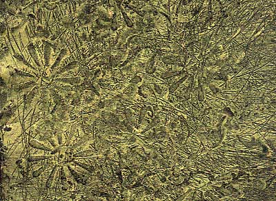 09_PastePaper3