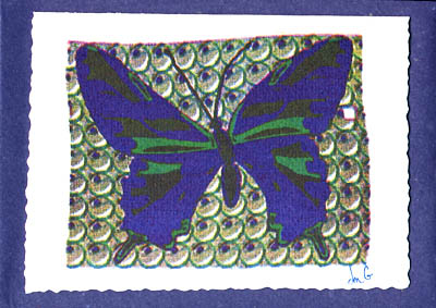 butterfly