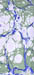 03_OilMarble2