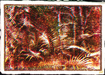 HandMadePaper_Rainforest