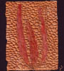leaves_handmade_cast_paper