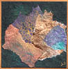 goldleaf_wax_collage2