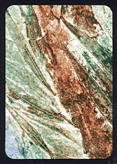collograph_print_tree_tops