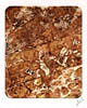 collograph_bark_texture2