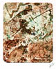 collograph_forest_floor