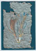 feathers_handmade_paper
