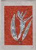leaves_feathers_card