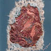 mixed_media_artcard4 