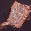 silk_paper_embellished