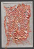 silk_paper_embellished2