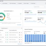 the rank math analytics interface